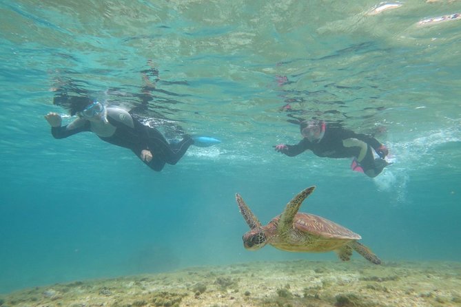 [Miyakojima Snorkel] Private Tour From 2 People Lets Look for Sea Turtles! Snorkel Tour That Can Be - Tour Details and Important Information