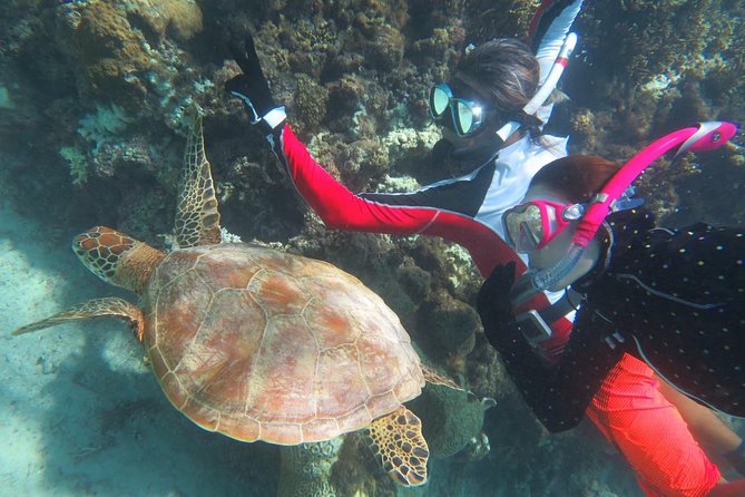 [Miyakojima Snorkel] Private Tour From 2 People Go to Meet Cute Sea Turtle - Snorkeling Equipment