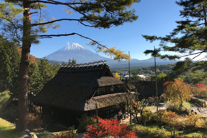 Tour Around Mount Fuji Group From 2 People 32,000 - Questions and Information
