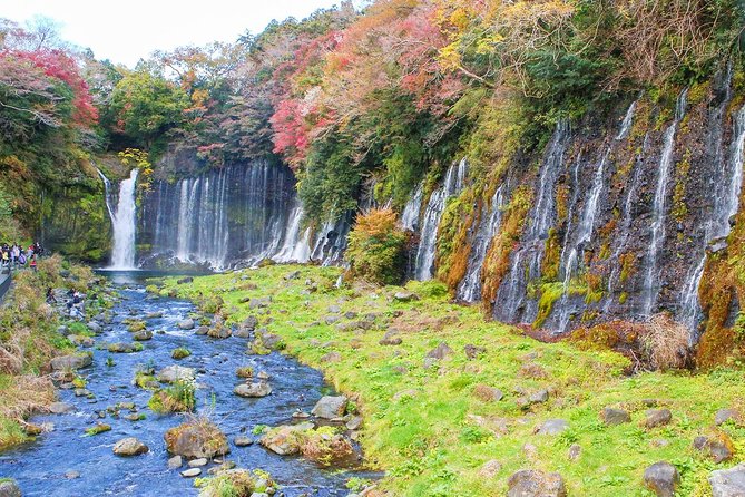 A Trip to Enjoy Subsoil Water and Nature Behind Mt. Fuji - Booking and Cancellation Policy
