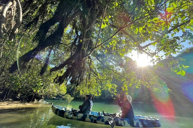 Enjoy Nature! Mangrove Kayak Tour! - Cancellation Policy