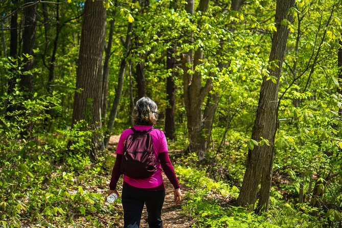 Usuzan Volcano Guided Hiking Private Tour - Itinerary Overview