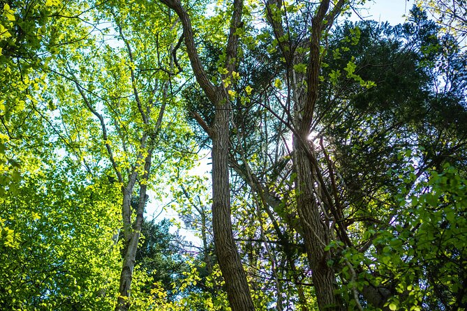 Usuzan Volcano Guided Hiking Private Tour - Pricing and Inclusions