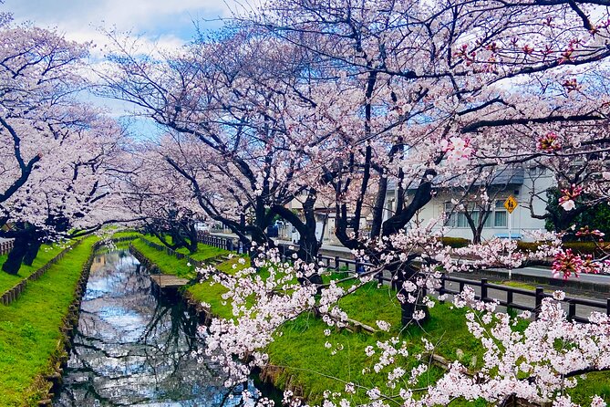 Kawagoe Local Trip : Uncovering the Hidden Treasures - Lunch
