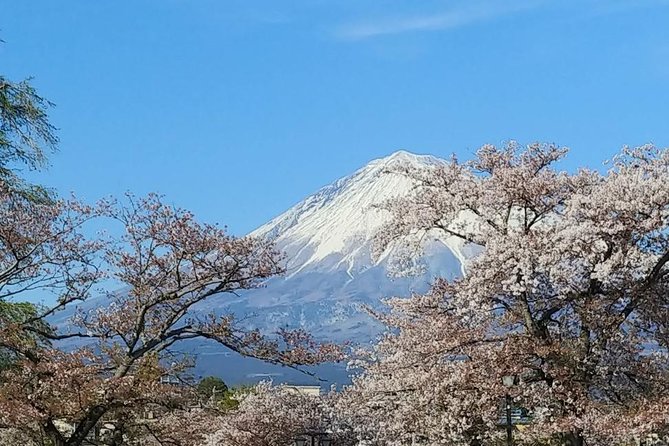 Mt. Fuji, Visit Where All the Japanese People Belong (Chartered Taxi Tour) - Group Size and Pricing