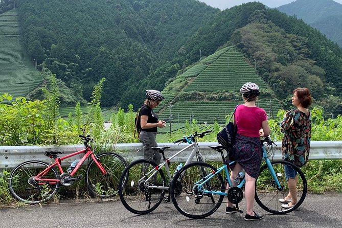 Guided Bike Tour to a Green Tea Farm in Shizuoka - Favorite Parts of the Guided Bike Tour