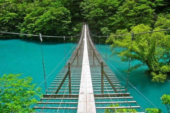 Shizuoka/Shimizu Mt Fuji View 6 Hr Private Tour: Guide Only - Nature and Cultural Experiences