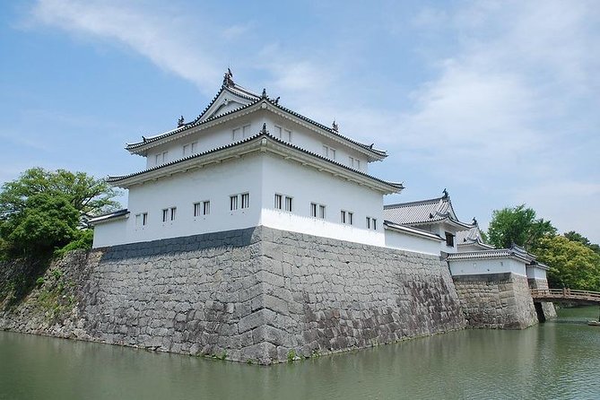 Port Pick-Up: Shizuoka Tour With Licensed Guide and Vehicle - Reviews