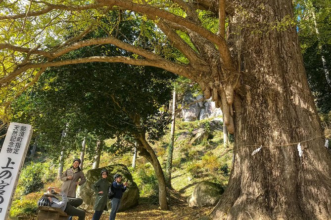 Nasu: Private Bike Tour and Farm Experience 2024 - Nasu-machi - The Sum Up