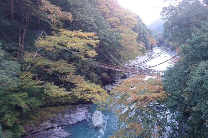 Iya Valley BROMPTON Bicycle Tour - Assistance and Questions