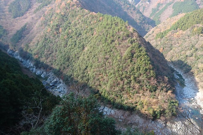 Iya Valley BROMPTON Bicycle Tour - Pricing and Terms