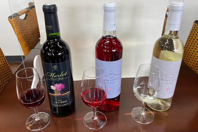 Castle Ruins Tour in Matsumoto With Wine Tasting and Lunch - Minimum Age Requirement