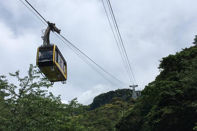 Mt Nokogiri Private Full-Day Hike From Narita 2024 - Overview and Highlights