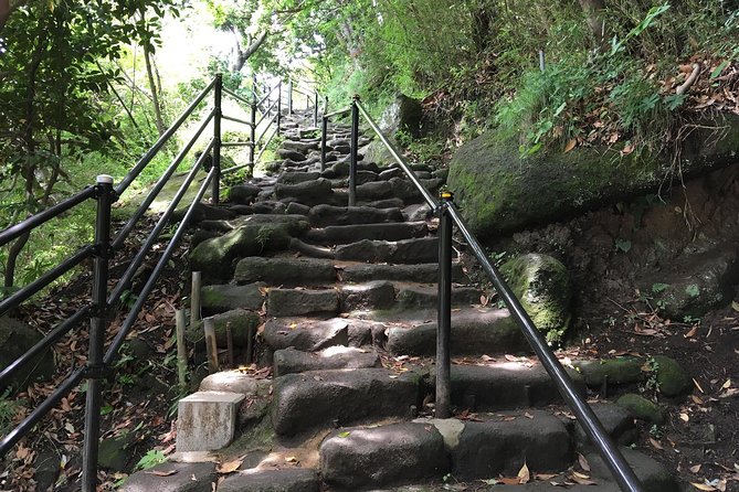 Mt Nokogiri Private Full-Day Hike From Narita 2024 - Panoramic View of Tokyo Bay and Boso Peninsula
