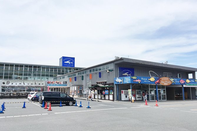 Mt Nokogiri Private Full-Day Hike From Narita 2024 - Mt Nokogiris Height