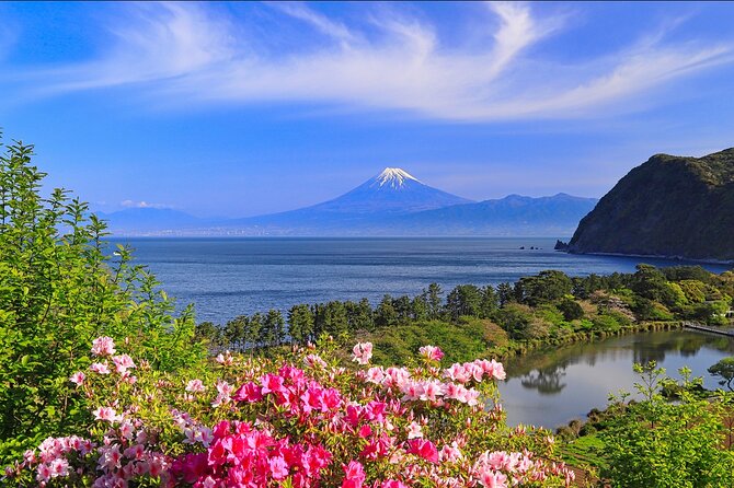 10 Days In-depth Discover Japan Deluxe Tour - Osaka and Nara