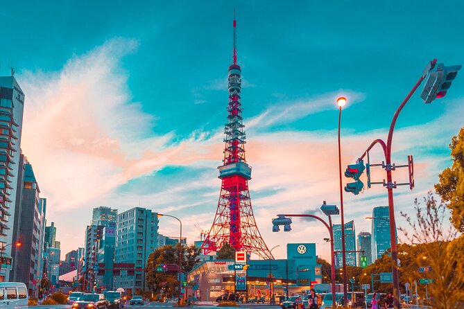 Private Round Trip Transfer From Haneda/Narita Airport to Tokyo. - Infant Seats and Participation