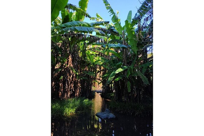 Kumamoto Lake, Kumamoto City Tour by Bicycle - Cancellation Policy and Conditions