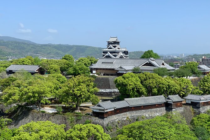 Kumamoto Castle Walking Tour With Local Guide - Guided Tour