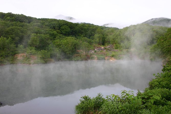 Half-Day Private Guided Japanese Hot Spring Experience - Unique Bathing Experience