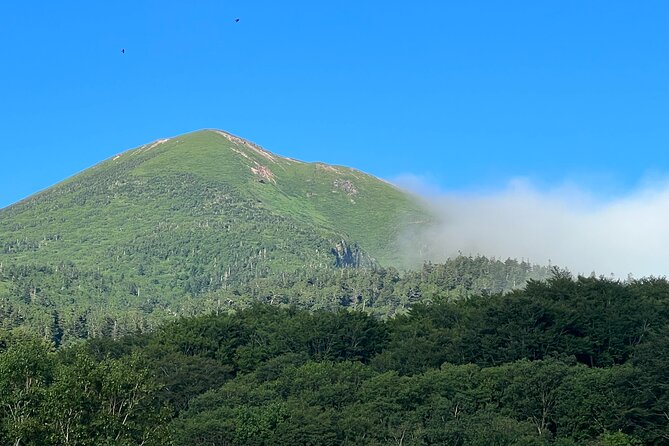 Half-Day Private Guided Japanese Hot Spring Experience - Questions and Pricing