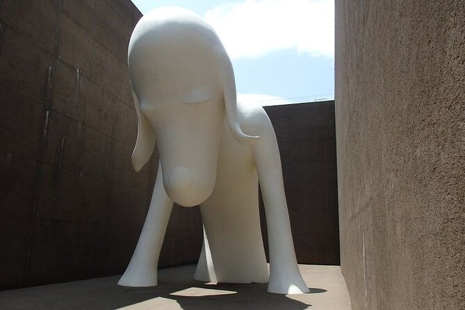 Aomori Full-Day Private Trip With Government-Licensed Guide - Reviews and Tour Guide Experience