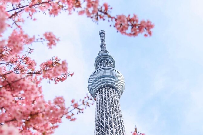 Tokyo Private Custom Tour Around City Area - Tokyo Attractions