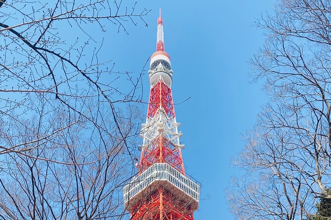 Tokyo Private Custom Tour Around City Area - Professional Guide Commentary