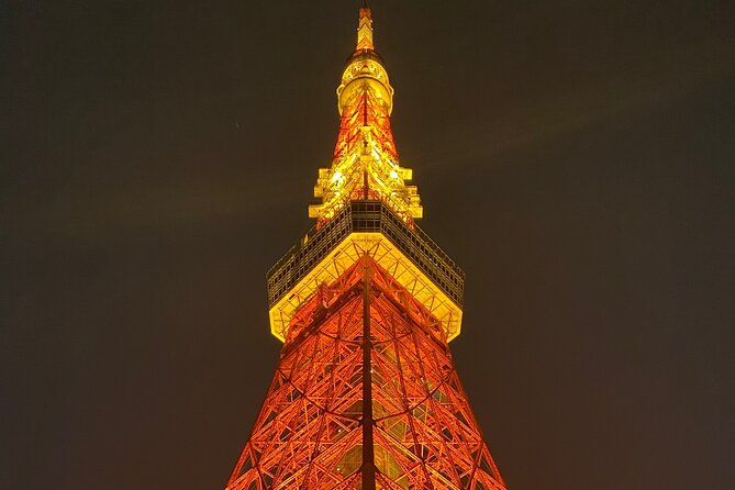 Tokyo Private Custom Tour Around City Area - The Sum Up