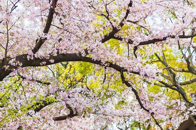 Private One Day Nikko Tour With Bilingual Driver - Frequently Asked Questions