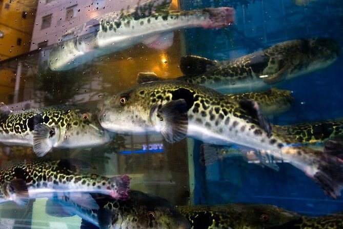 Adventurous Japanese Food Tour - Savoring Authentic and Adventurous Dishes in Japan