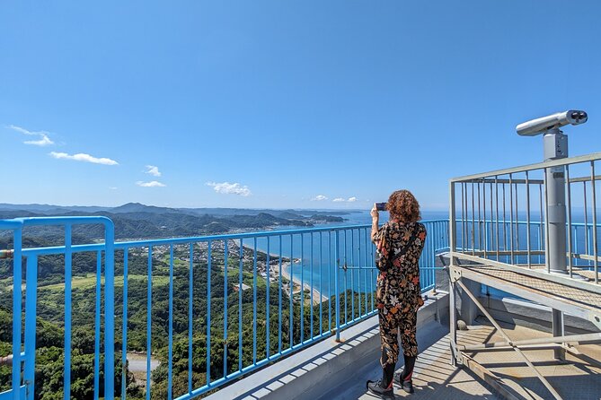 Private Day Tour From Tokyo: Mount Nokogiri & Organic Art Farm - Directions