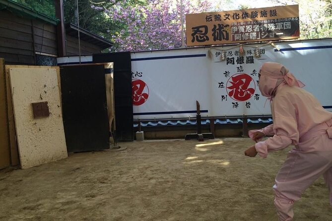Full-Day Ninja Unique Experience in Iga - The Sum Up