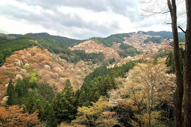 Full-Day Private Guided Tour in a Japanese Mountain: Yoshino, Nara - About Viator, Inc