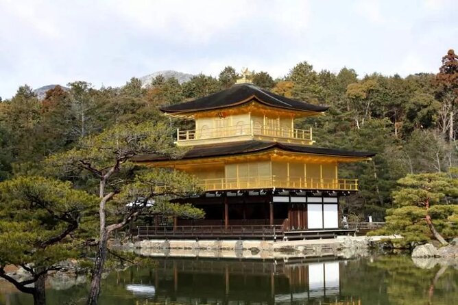 Full Day Kyoto and Nara Guided Tour - Tour Details