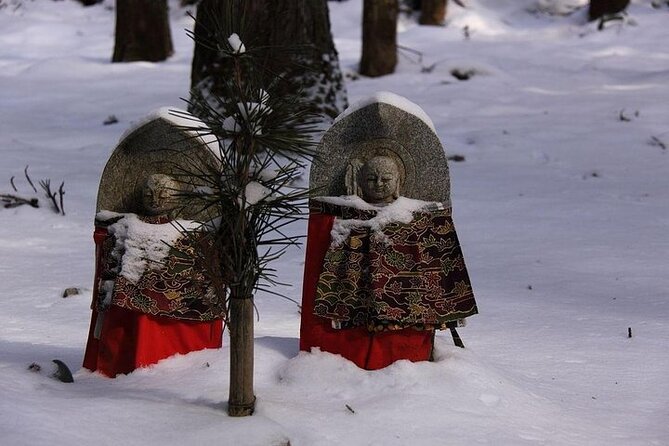 Mt Koya and Kumanokodo Walking 3 Day Tour From Osaka - Transportation and Meeting Point