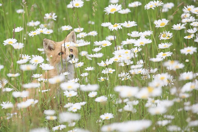 Furepe Waterfall Nature Walk - Directions to Furepe Waterfall