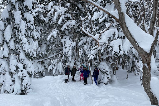 Private Snow Shoe Tour in Shiretoko National Park - Contact Information