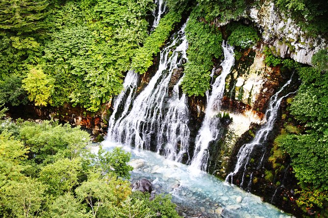 [Biei/Furano] One-Day Sightseeing by Private Car! - Tour Highlights