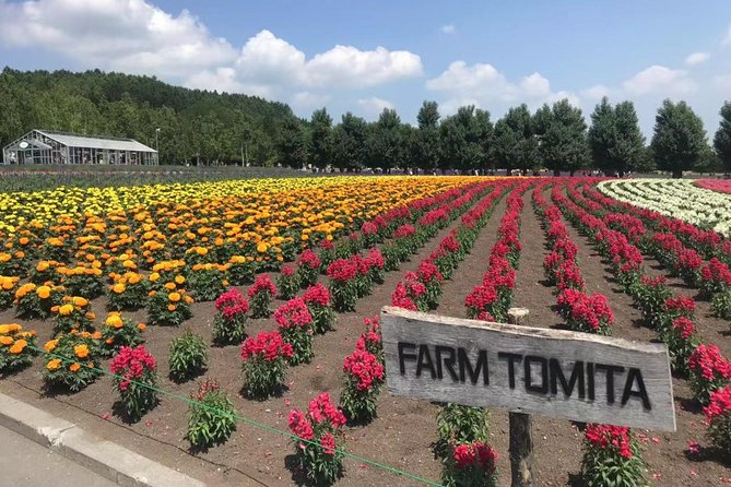 [Biei/Furano] One-Day Sightseeing by Private Car! - Booking Information