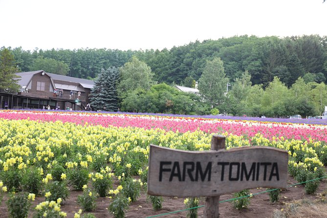 Asahiyama Zoo, Aoiike, Farm Tomita, Ningle Terrace (from Sapporo) - The Sum Up