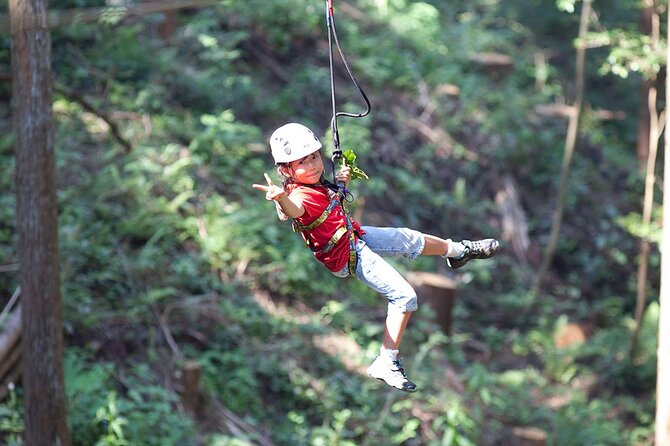 Hokkaido Wild Experiences: Forest Adventure and Day Camp - Pricing Details and Group Size Variations