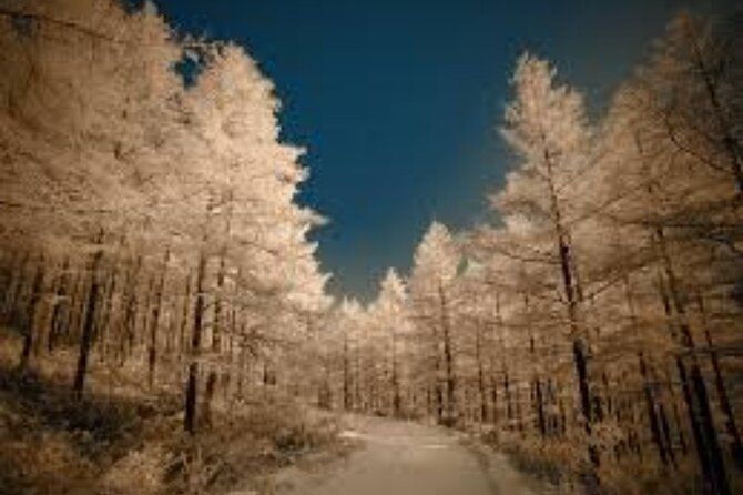 Half Day Winter Ski Adventure in Sapporo - Hit the Slopes: Best Ski Runs in Sapporo