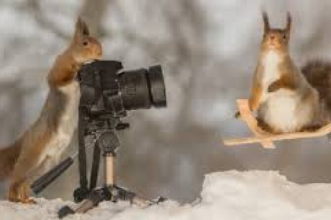 Half Day Winter Ski Adventure in Sapporo - Skiing in Sapporo: A Winter Wonderland