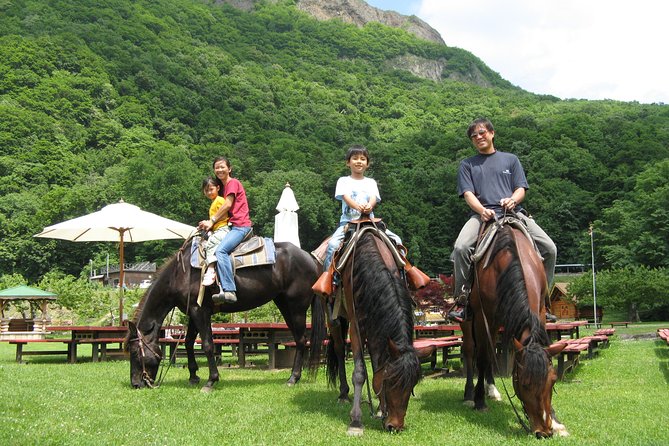 Horseback Riding In A Country Side In Sapporo Private Transfer Is Included Quick Takeaways