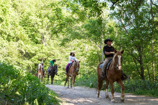 Horseback-Riding in a Country Side in Sapporo - Private Transfer Is Included - Booking Details