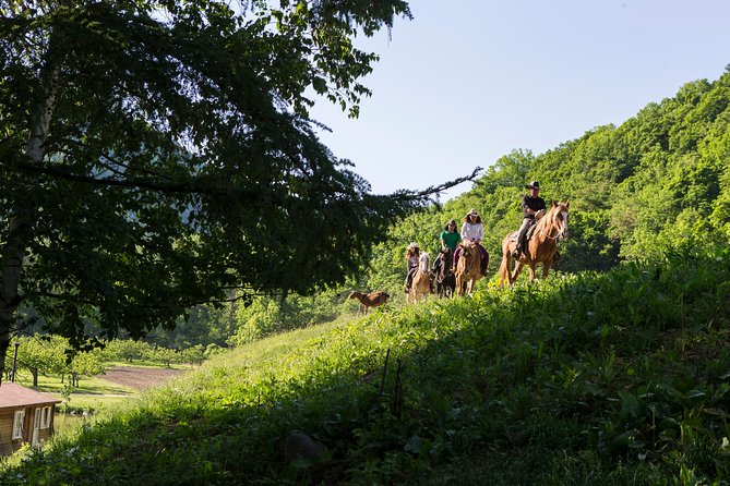 Horseback-Riding in a Country Side in Sapporo - Private Transfer Is Included - Tour Highlights