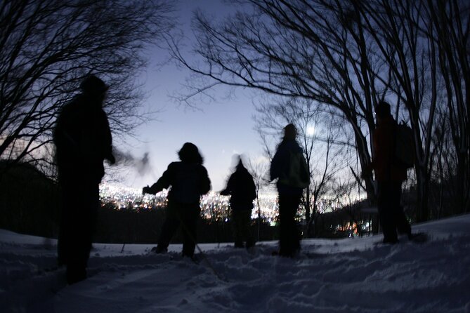 Sapporo Night Hike and Night View Private Guided Experience - Overview and Experience Details