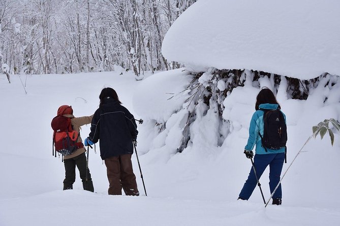 Snowshoe Hike Tour From Sapporo - Traveler Photos