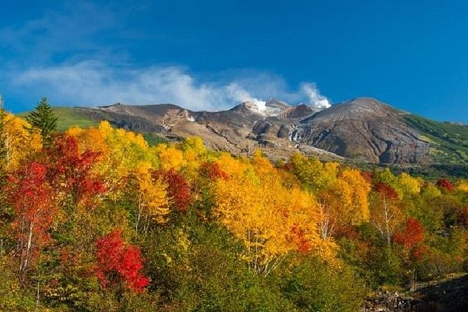 Lake Toya and Noboribatsu Hell Valley Private Day Trip - Tour Guides Qualities